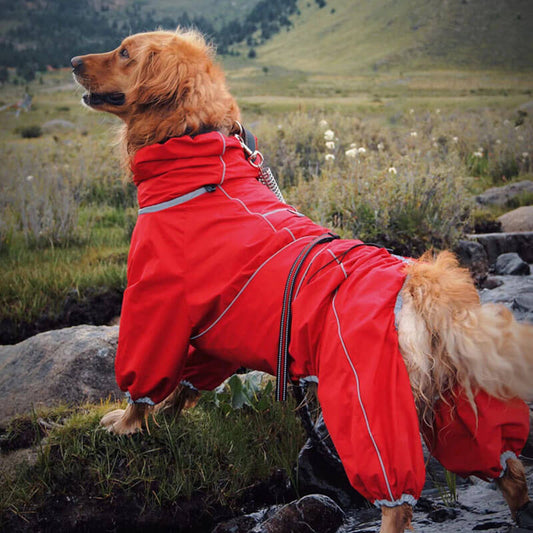 Sandsberg | Hund Outdoor Jacke Wasserdicht Verstellbarer Hunderegenmantel