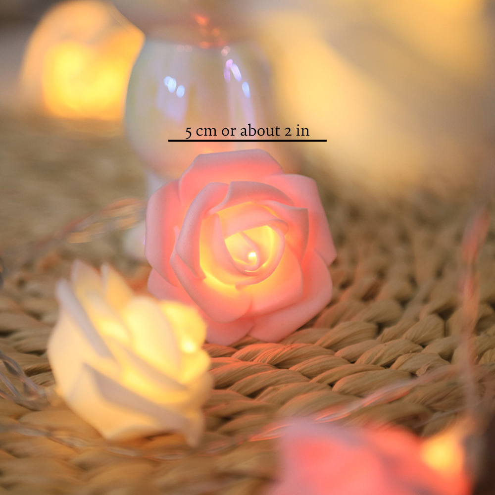 Rose Blütenlichter Lichterkette