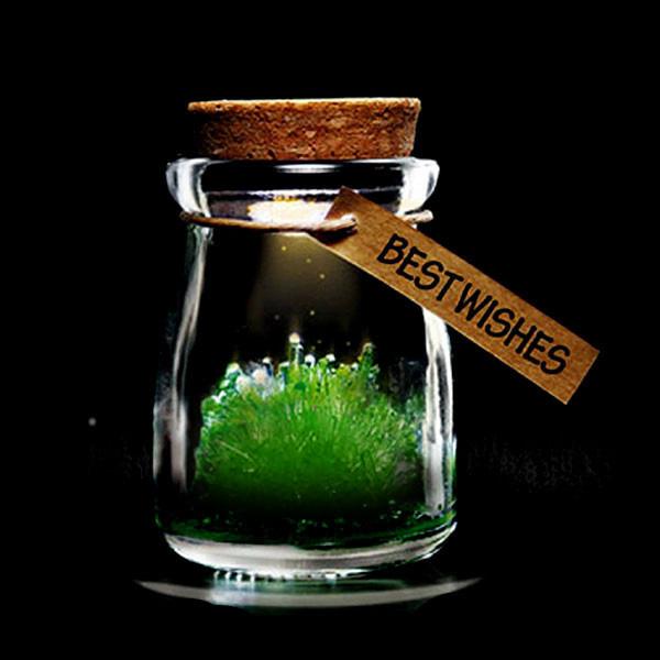 Magic Crystal Growing Jar Kit (Verschillende Kleuren En Berichten)
