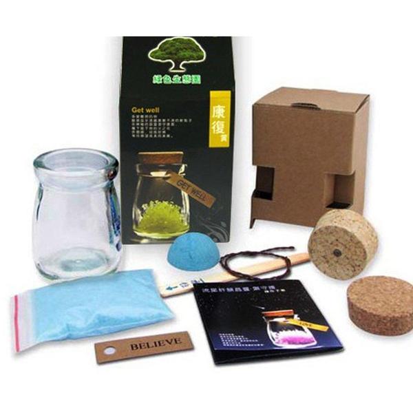 Magic Crystal Growing Jar Kit (Verschillende Kleuren En Berichten)