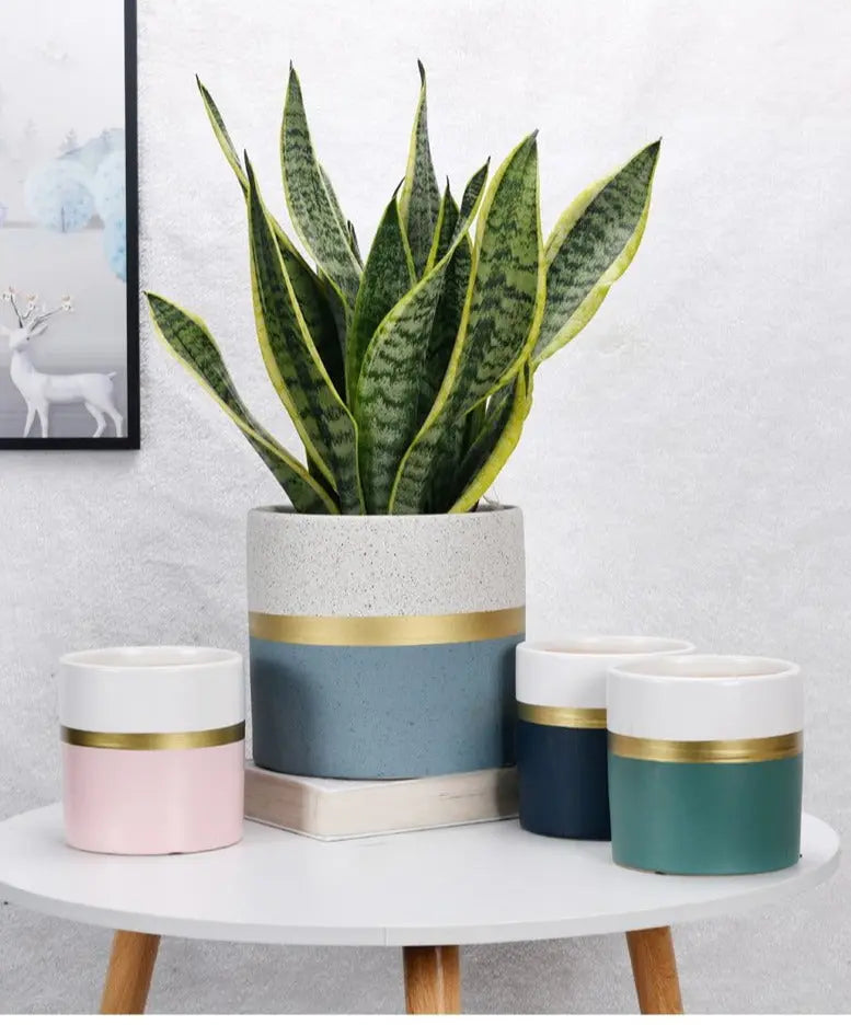 Moderner Blumentopf mit goldenem Rand – Elegante Keramikpflanzen für Innen- und Außenpflanzen