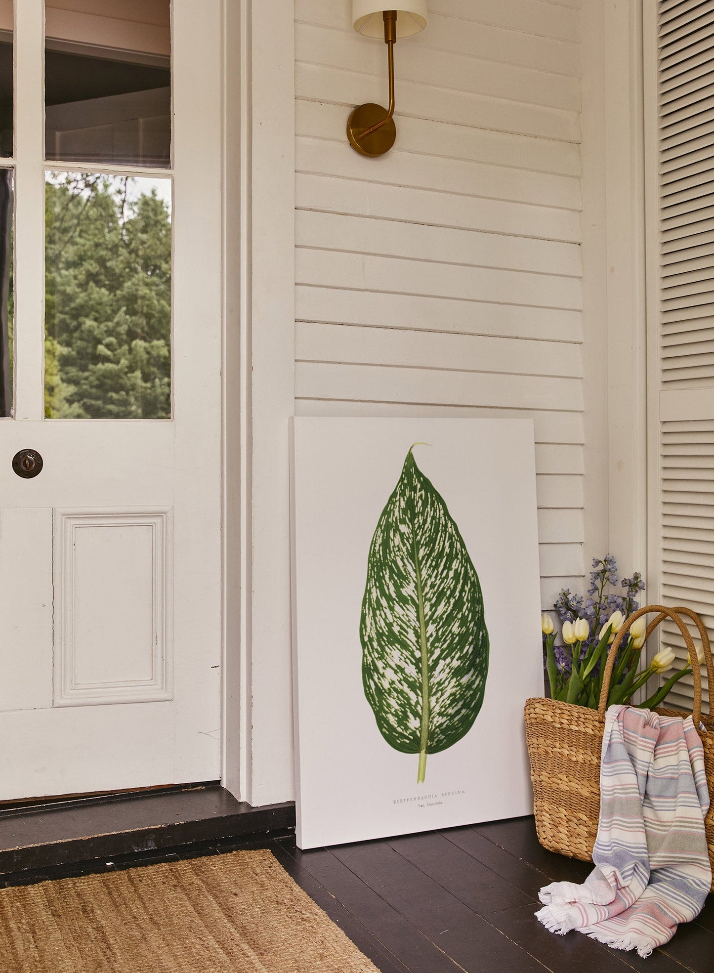 Sandsberg | Dieffenbachia, Poster