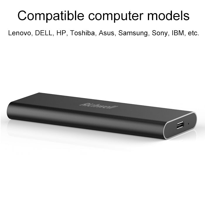 Sandsberg | Richwell SSD R280-SSD-120GB 120GB Mobile Festplattlaufwerk für Desktop-PC (Schwarz)