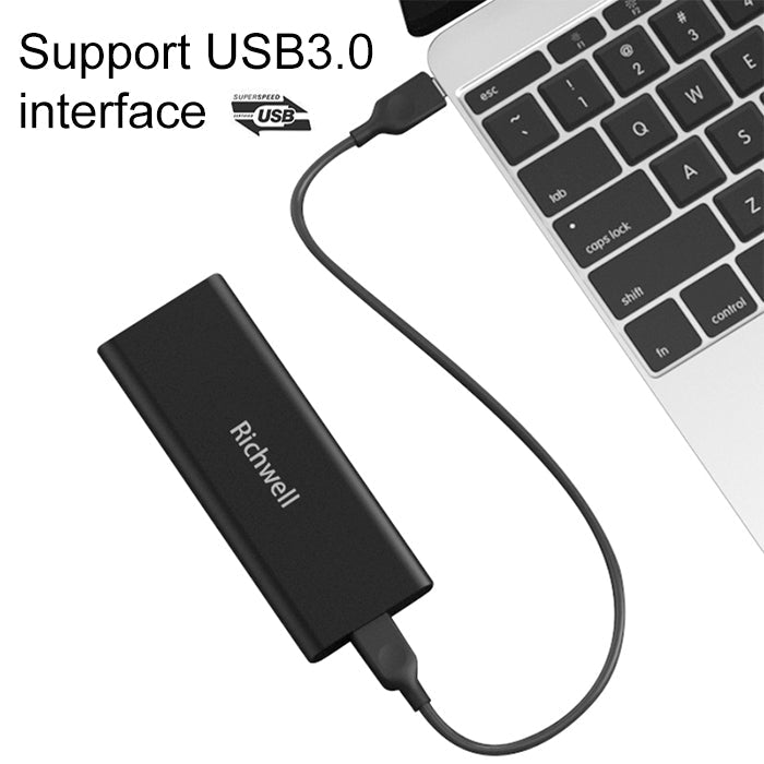 Sandsberg | Richwell SSD R280-SSD-120GB 120GB Mobile Festplattlaufwerk für Desktop-PC (Schwarz)