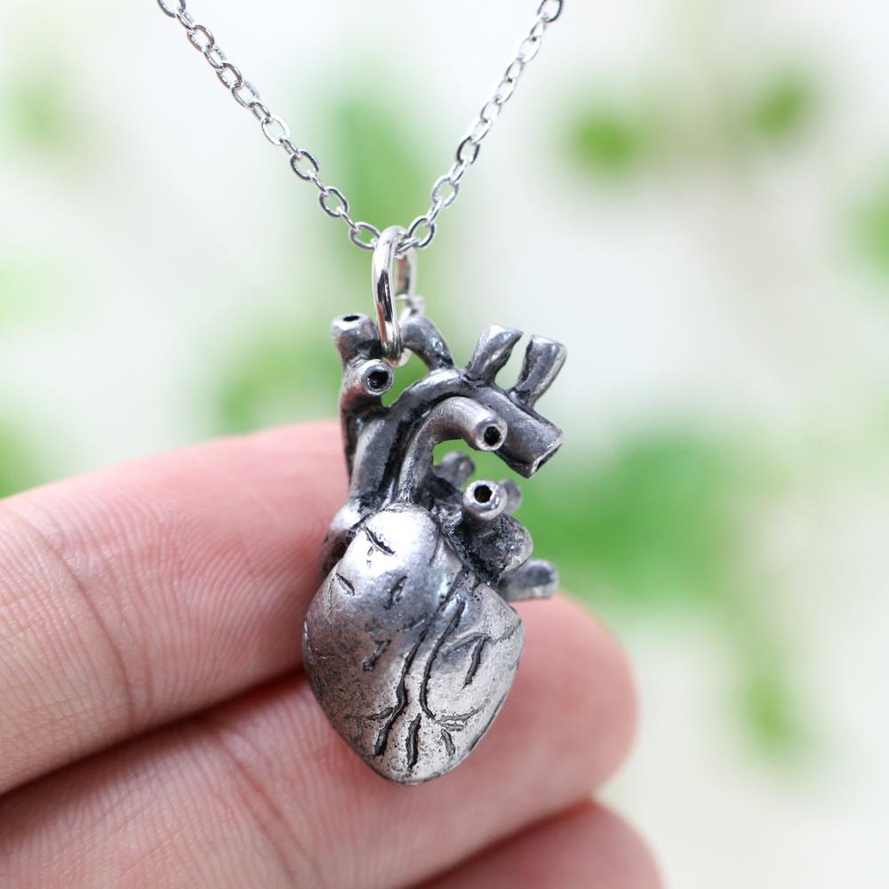Anatomische Herzkette