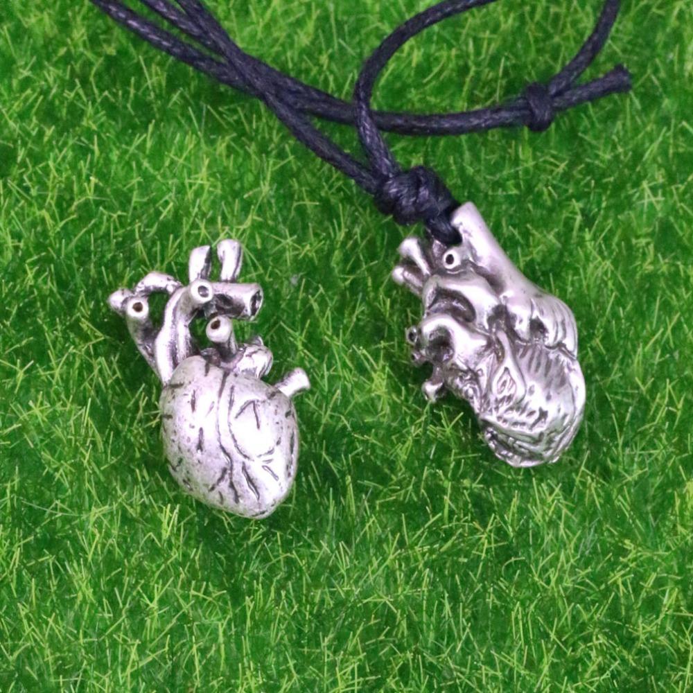 Anatomische Herzkette