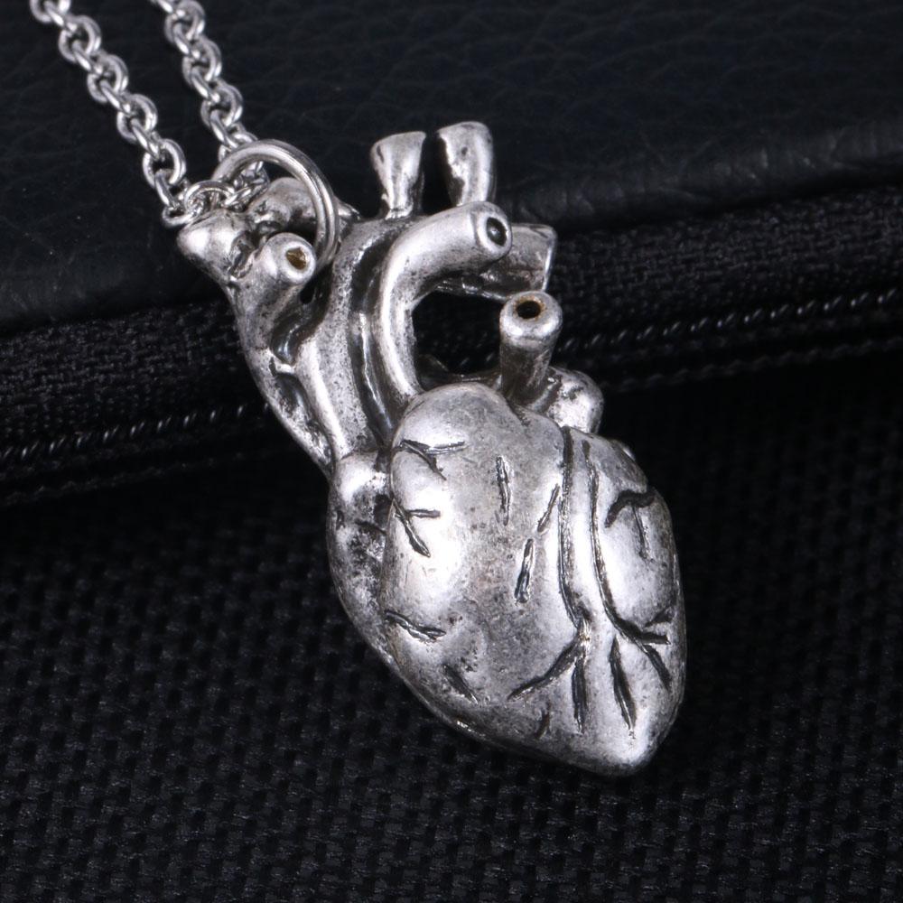Anatomische Herzkette