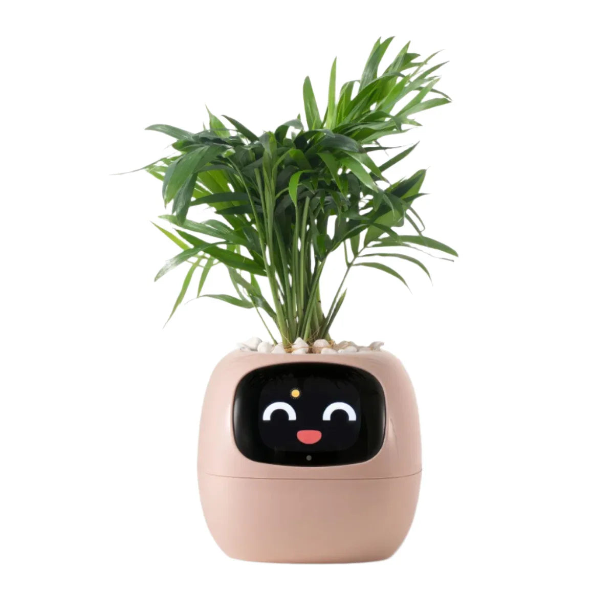 Sandsberg Ivy Smart Planter