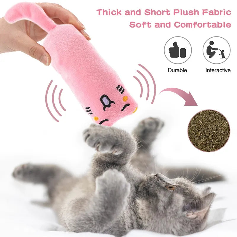 Silly Pets Plüsch Raschelnde Katzen Kicker Katzenminze Spielzeug