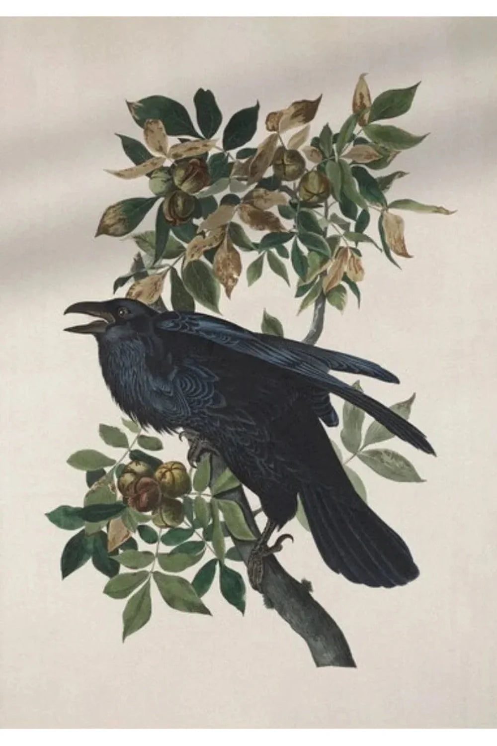 Gothic Nature Galerie Poster