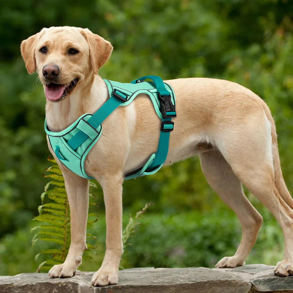 Sandsberg Hundegeschirr – Verstellbar und Reflektierend