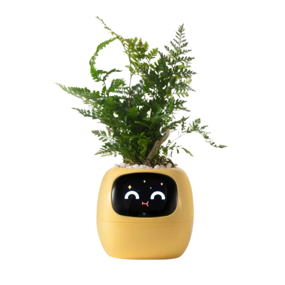 Sandsberg Ivy Smart Planter