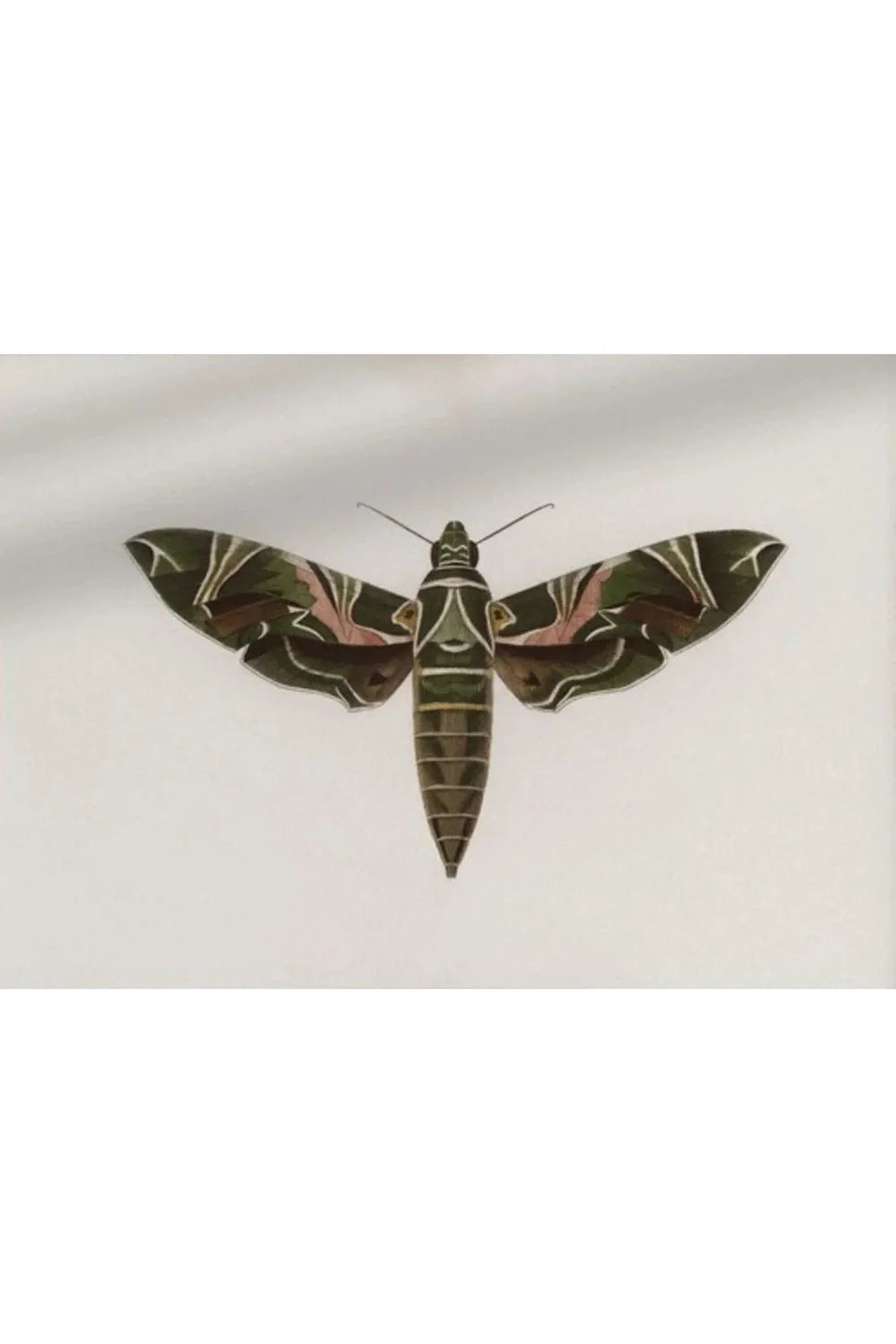 Gothic Nature Galerie Poster