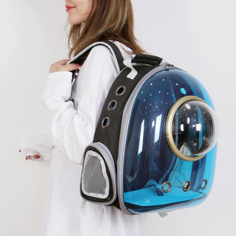 Sandsberg | Space Capsule Haustier Tasche Panoramadurchsichtig Katze Ausgehen Tragbarer Atmungsaktiver Rucksack mit Abdeckung (Rosa)
