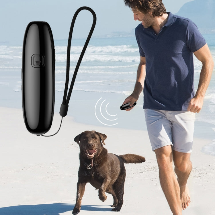 Sandsberg | UB100 Ultrasonic Trainer Beller Gerät Handheld Tragbares Fahrgerät (Schwarz)