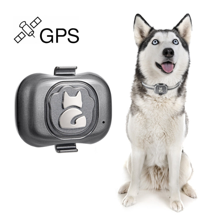 Sandsberg | G16 Haustier GPS Tracker IP67 Wasserdicht Smart Halsband Anti-Verlust Tracking für Hund Katze
