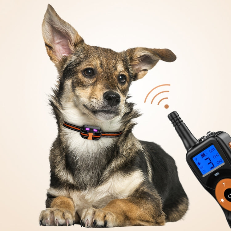Sandsberg | Smart Electronic Remote Control Hundetrainingsgerät Wasserdicht Haustier Bellen Stopper, Größe: Für-Ein-Hund (Fluorescent Green)