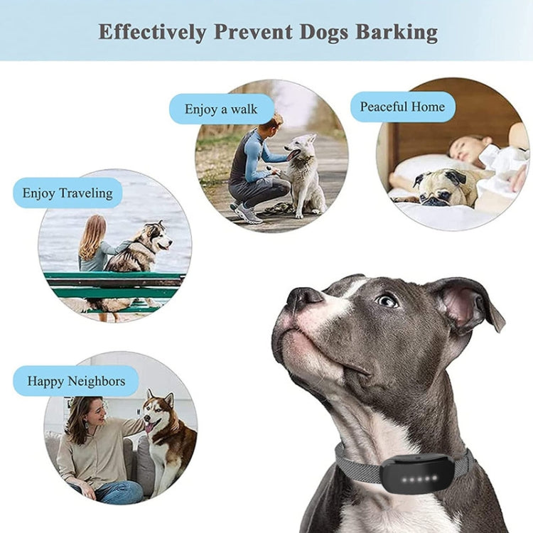 Sandsberg | Touch Stop Bark Hunde Trainer Anti Bellen Tierbedarf (Schwarz)