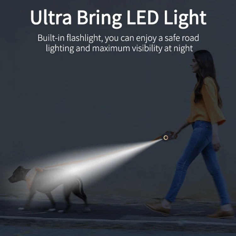 Sandsberg | LED Licht Leuchtende Haustier Hundeleine Automatische einziehbare Hundeleine, Farbe: 5m Grün