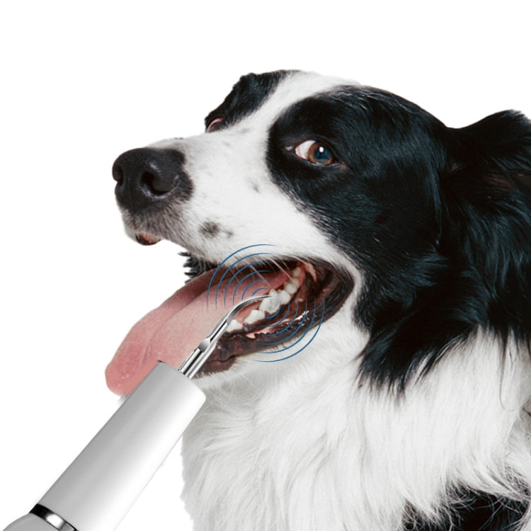 Sandsberg | Haustier Ultraschall Zahnreiniger Hund Elektrisches Zahnreinigungswerkzeug Heimpflege Zahnsteinentferner (Schwarz)