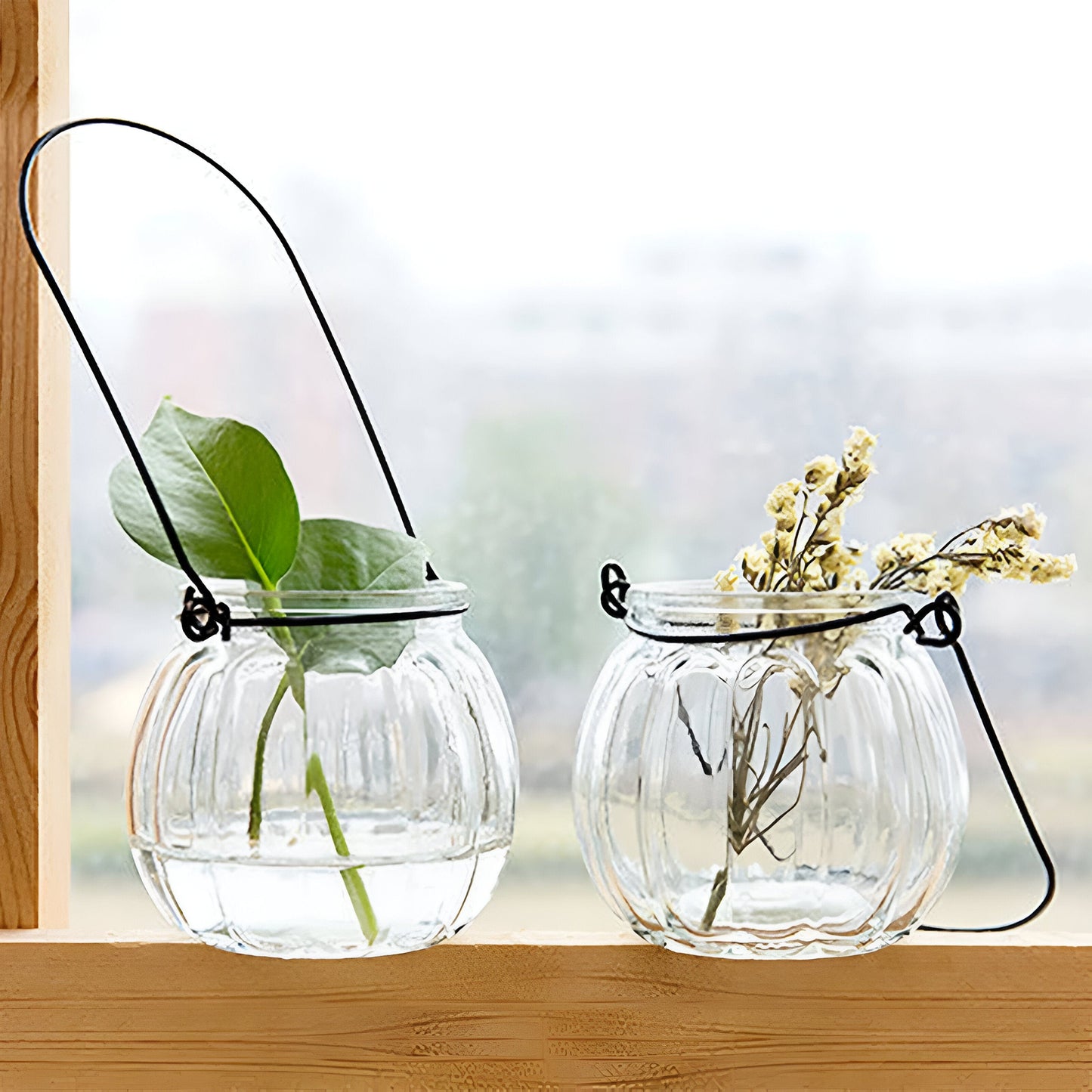 Hängende Hydroponik Transparente Blumenvase
