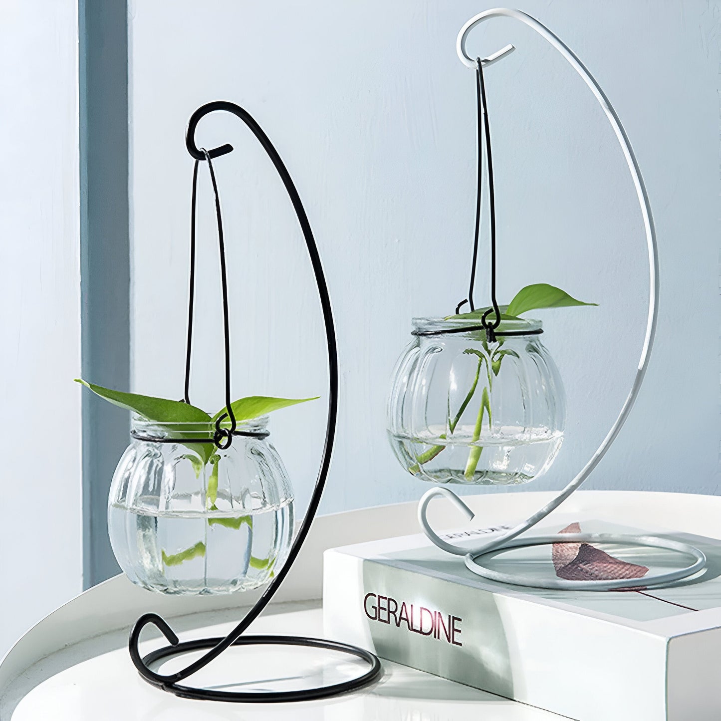 Hängende Hydroponik Transparente Blumenvase
