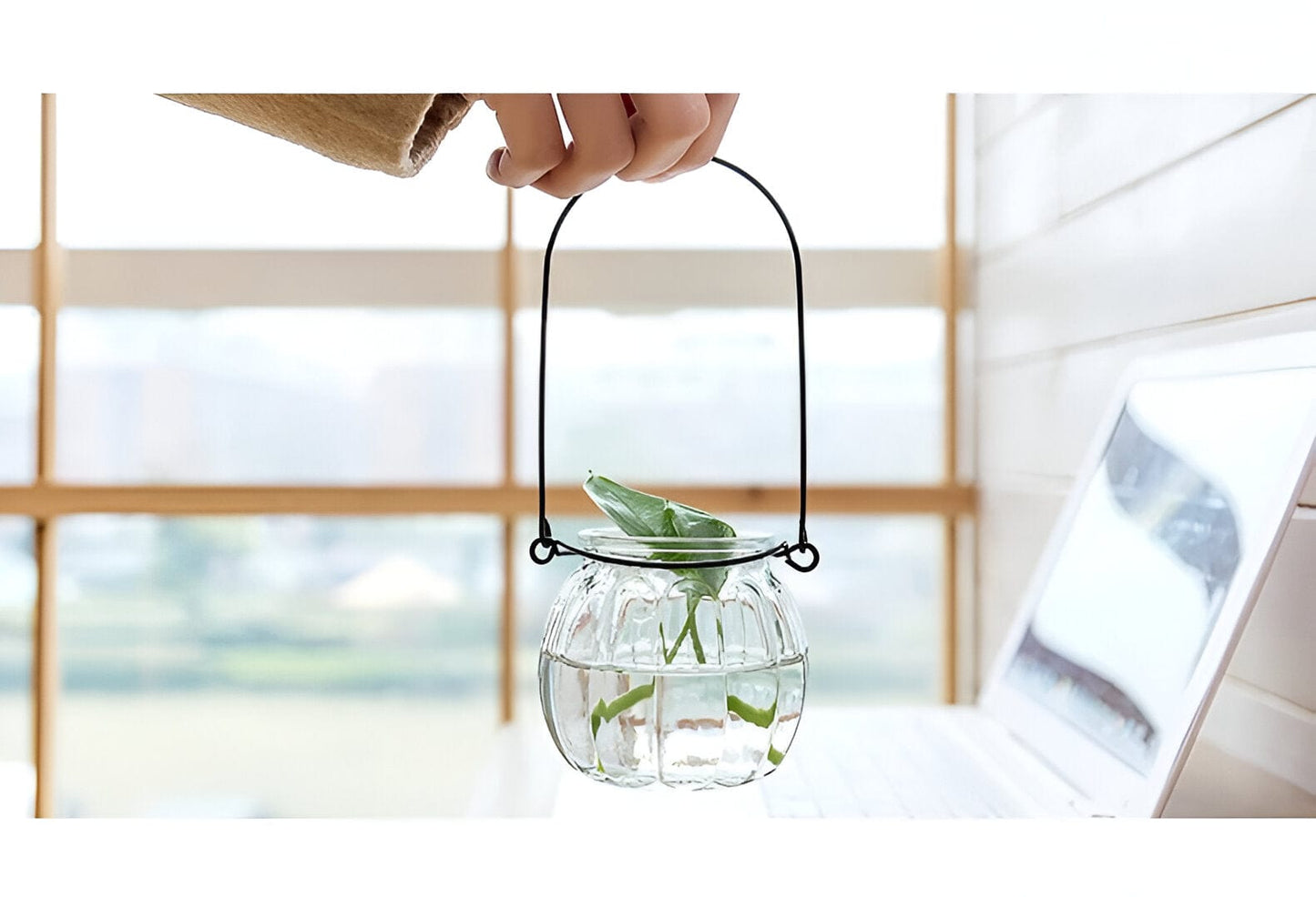 Hängende Hydroponik Transparente Blumenvase