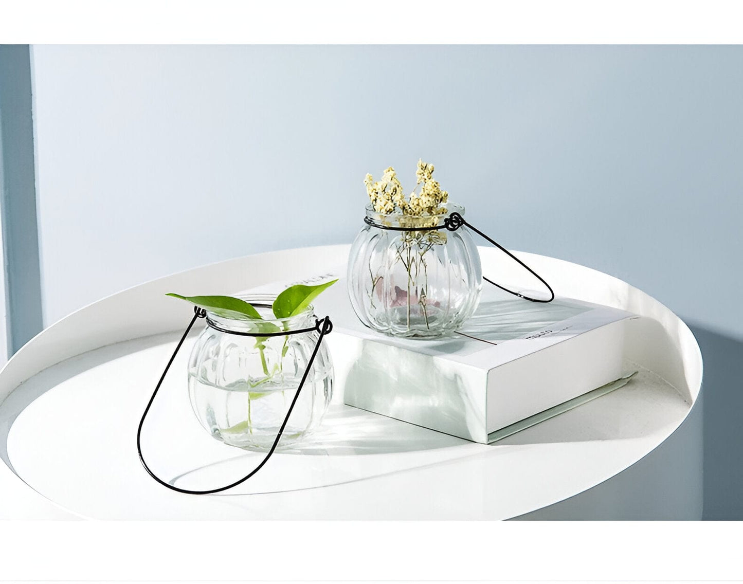 Hängende Hydroponik Transparente Blumenvase