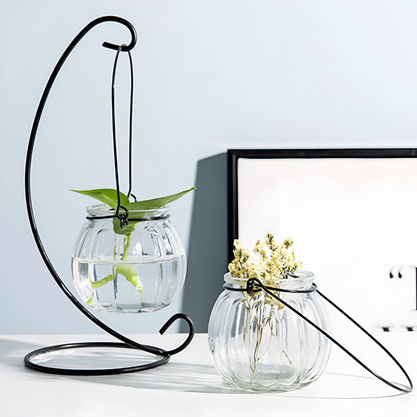 Hängende Hydroponik Transparente Blumenvase