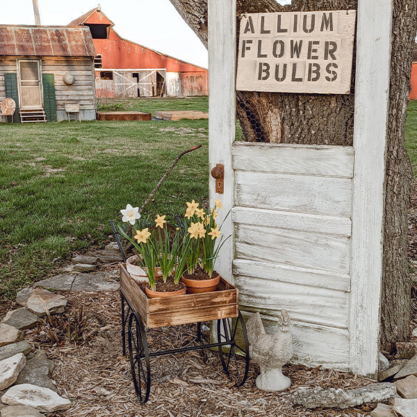 Vintage inspirierter Blumen Gartenwagen