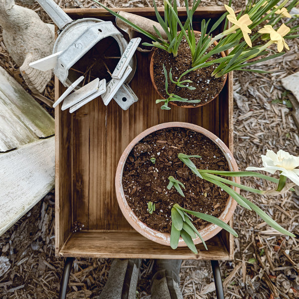 Vintage inspirierter Blumen Gartenwagen