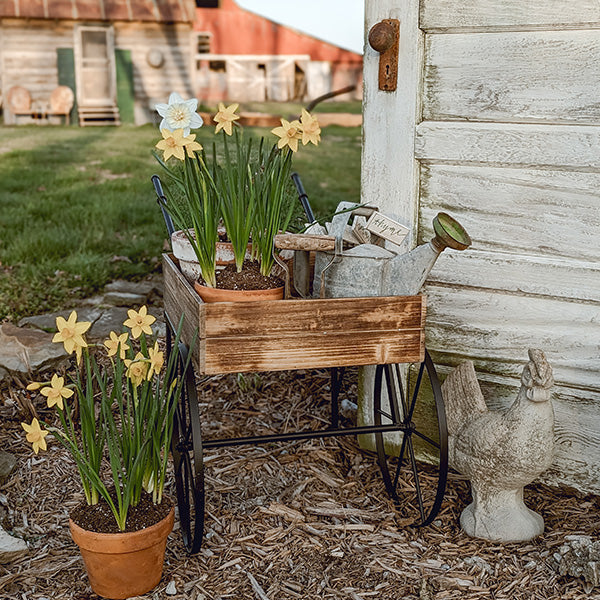 Vintage inspirierter Blumen Gartenwagen