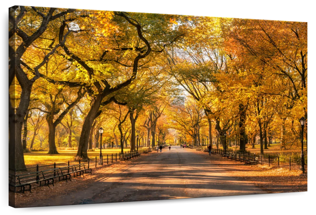 Sandsberg | Herbst im Central Park New York Wandkunst