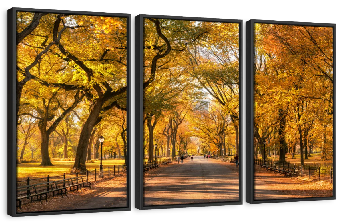 Sandsberg | Herbst im Central Park New York Wandkunst