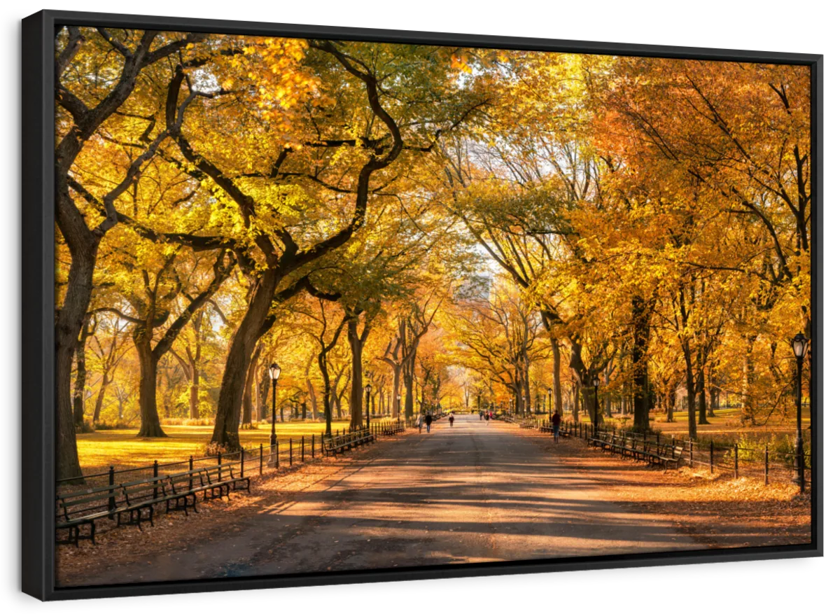 Sandsberg | Herbst im Central Park New York Wandkunst