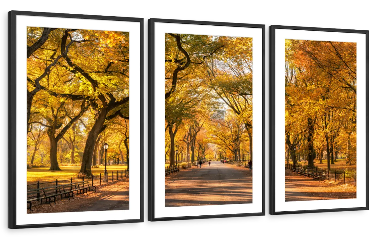 Sandsberg | Herbst im Central Park New York Wandkunst