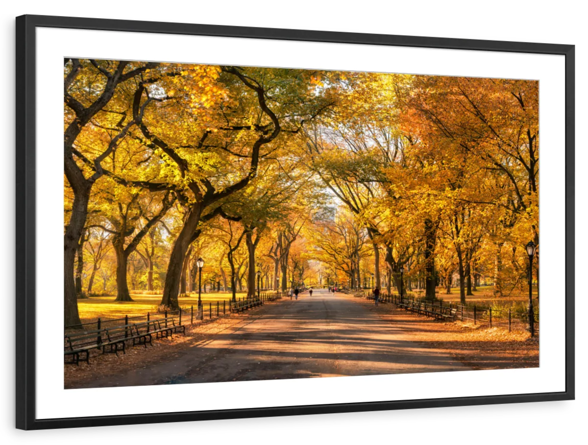 Sandsberg | Herbst im Central Park New York Wandkunst