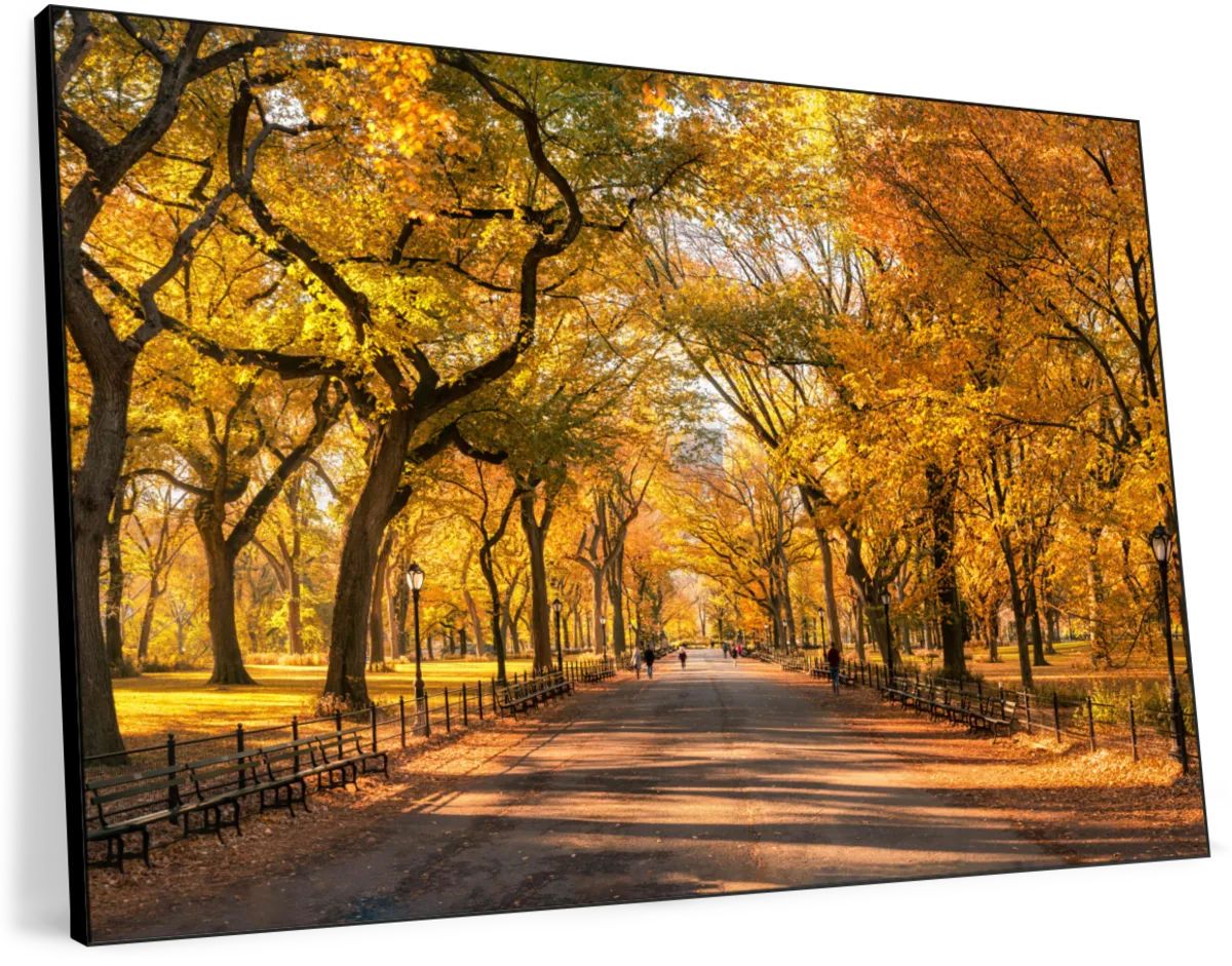 Sandsberg | Herbst im Central Park New York Wandkunst