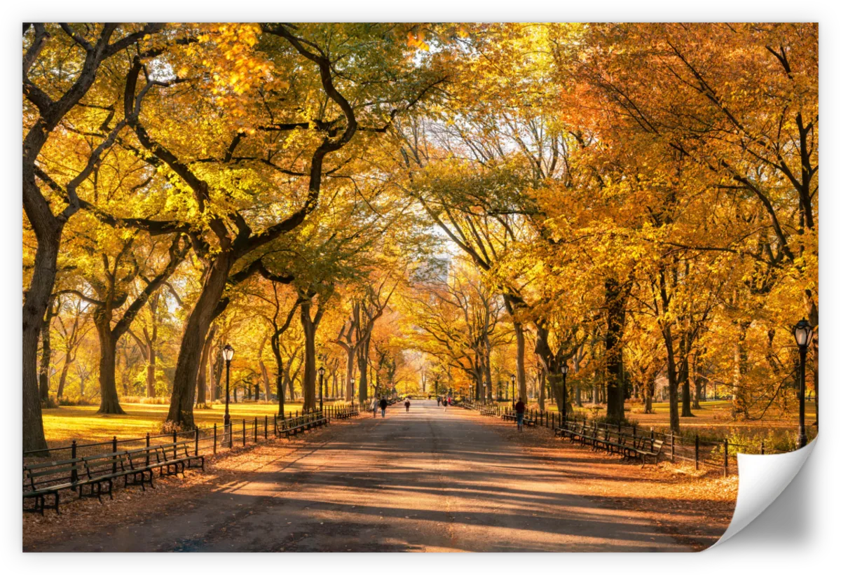 Sandsberg | Herbst im Central Park New York Wandkunst