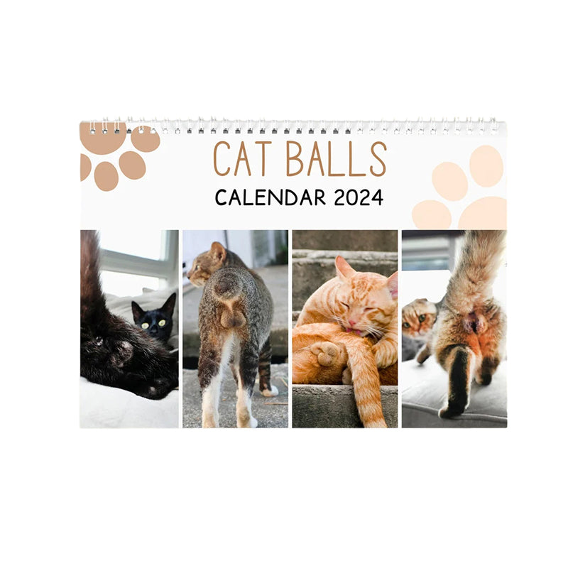 Lustiger Katzenballkalender 2024