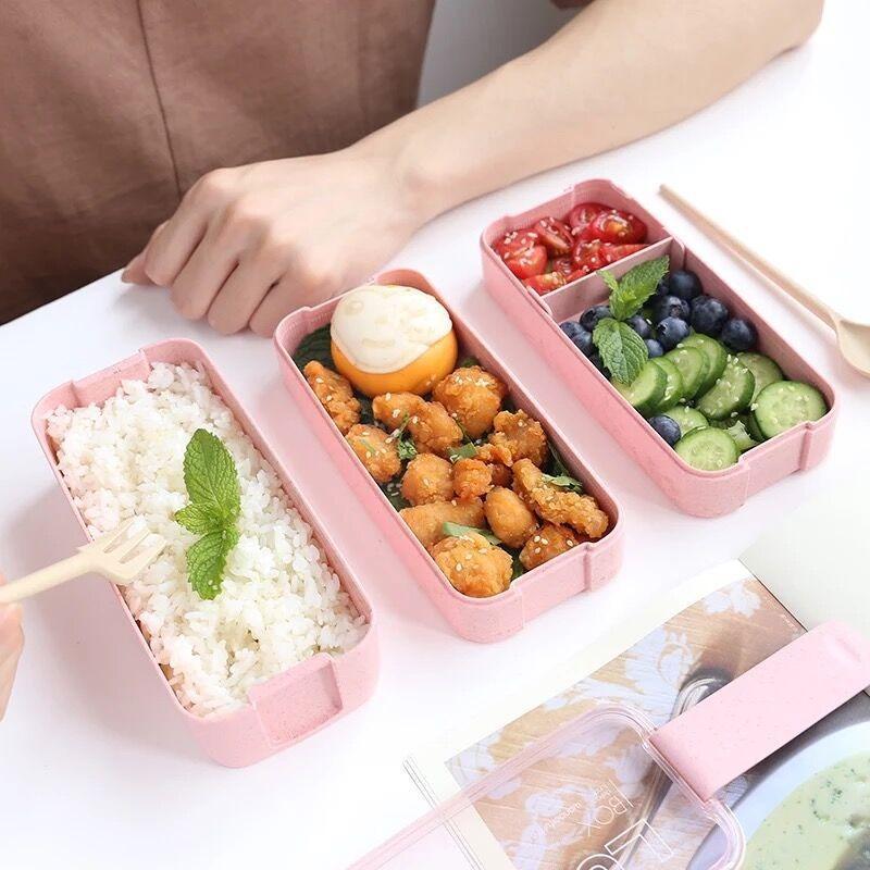 Tragbare Mikrowellen-Lunchbox