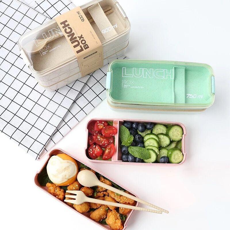 Tragbare Mikrowellen-Lunchbox