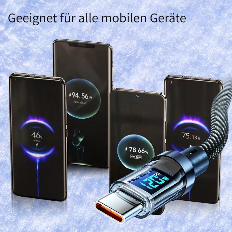 BlitzCharge Pro Turbo 120W 6A USBC Kabel mit Display