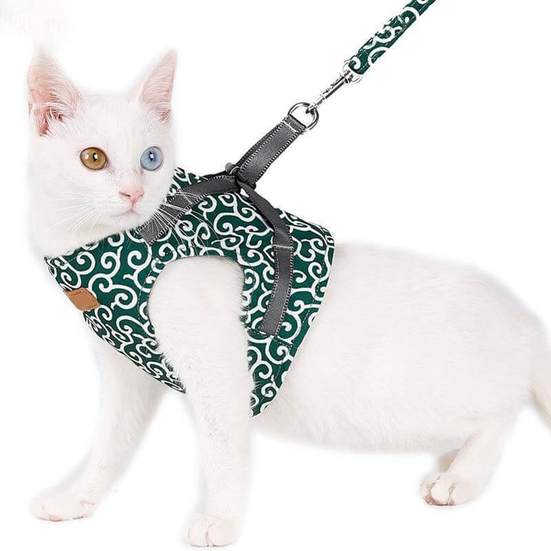 Katzenweste Sicherheitsgeschirr