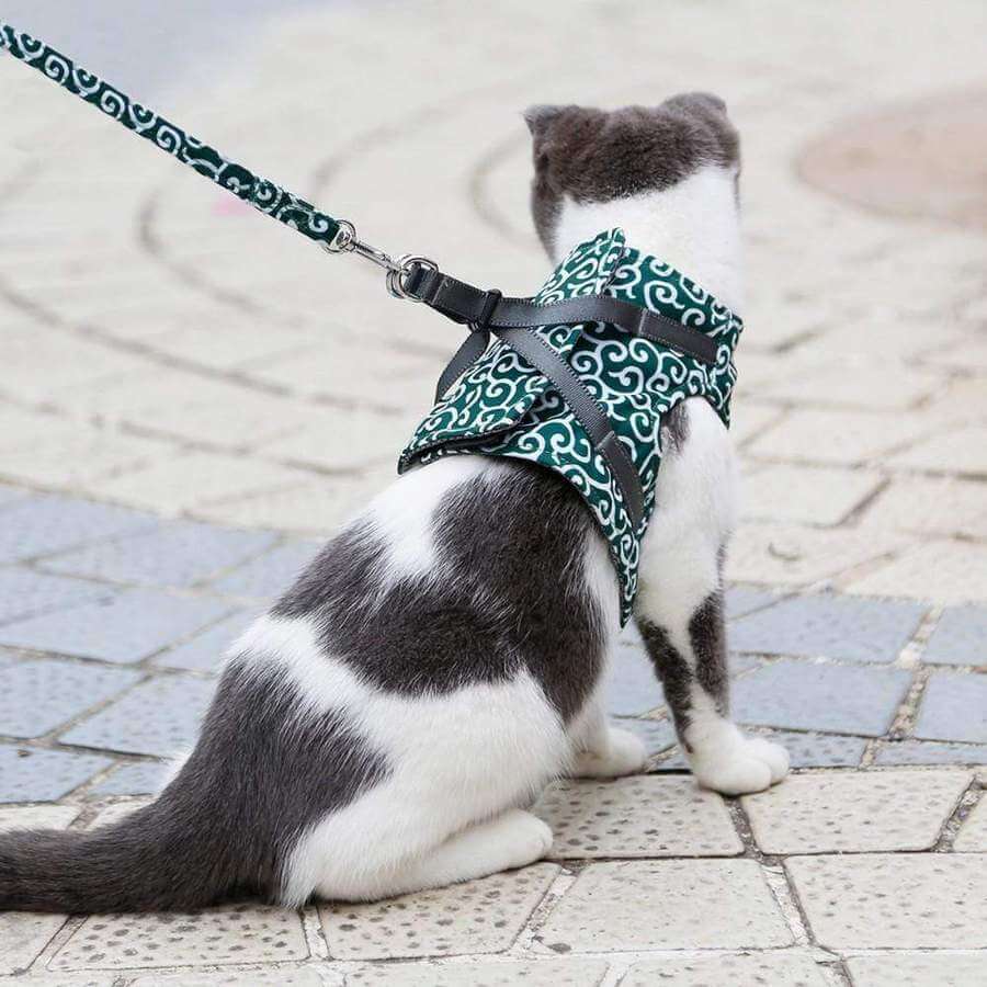 Katzenweste Sicherheitsgeschirr
