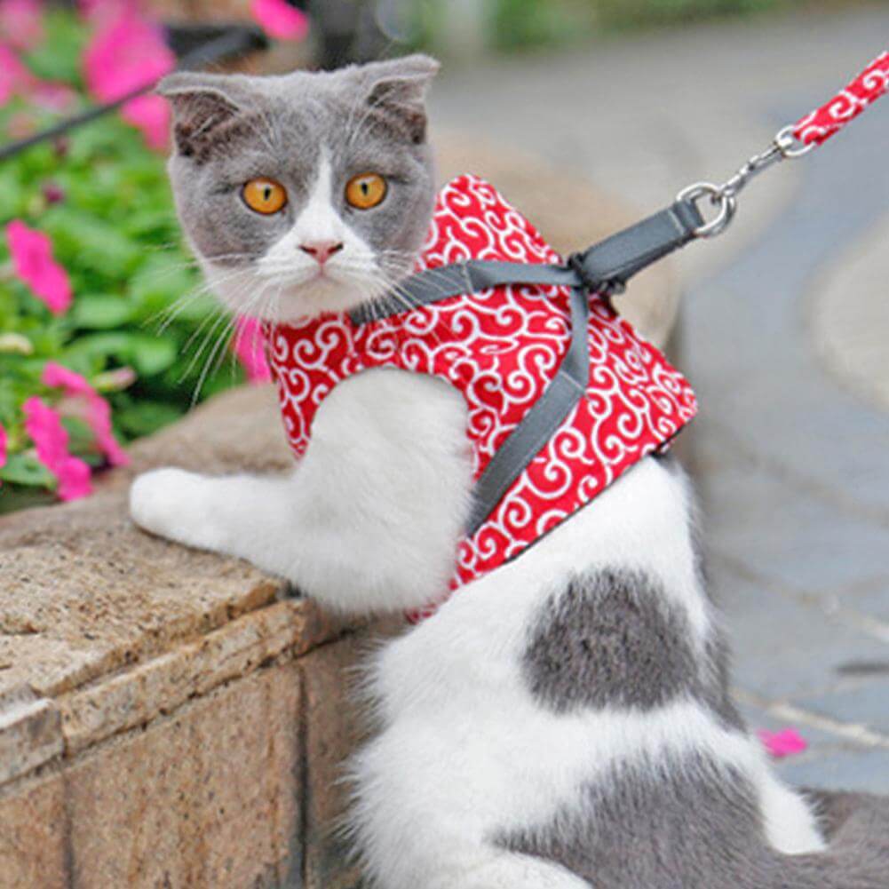 Katzenweste Sicherheitsgeschirr