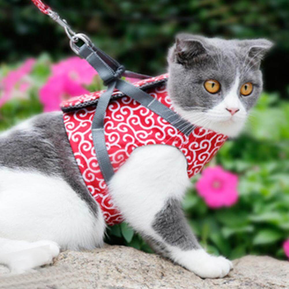 Katzenweste Sicherheitsgeschirr