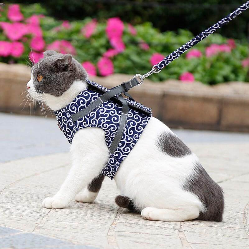 Katzenweste Sicherheitsgeschirr