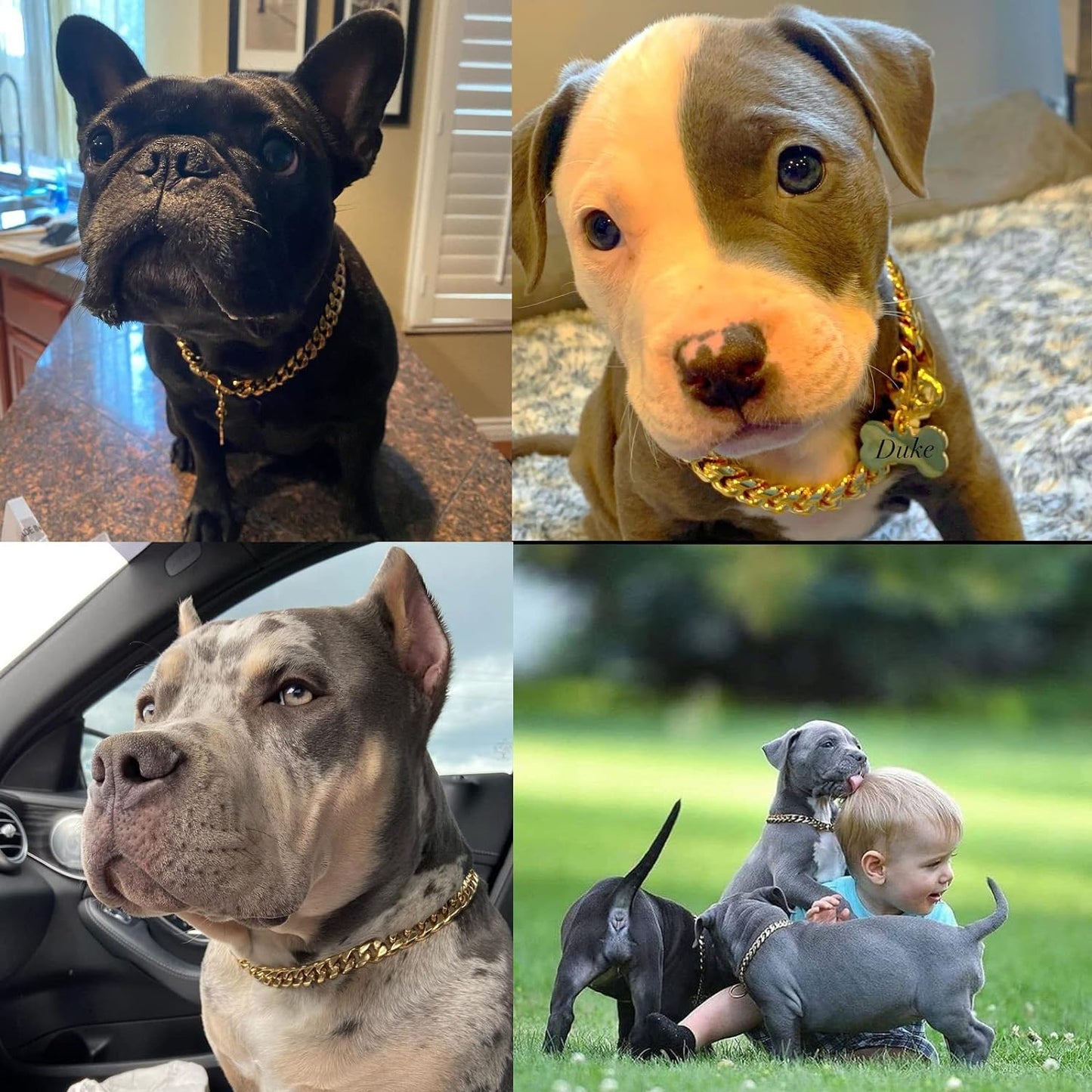 Edelstahl Kettenhundehalsband