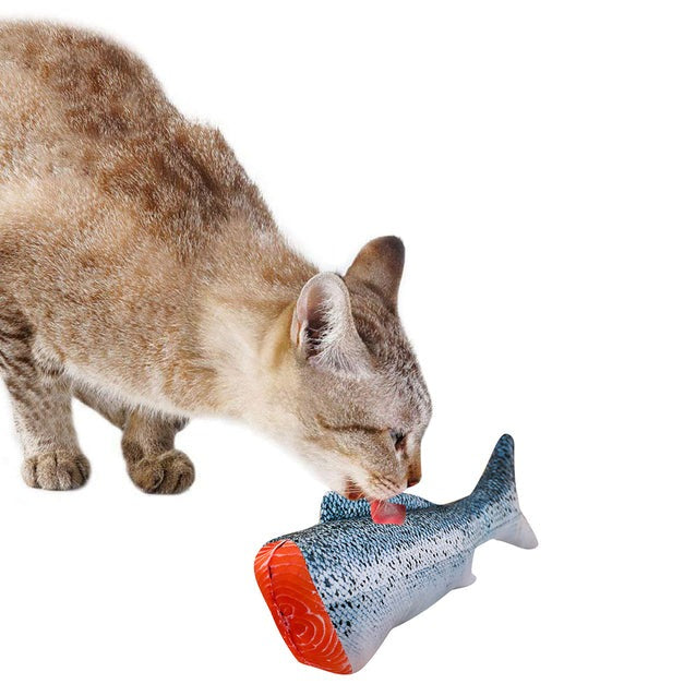 Kreatives Fischform Haustier Spielzeug